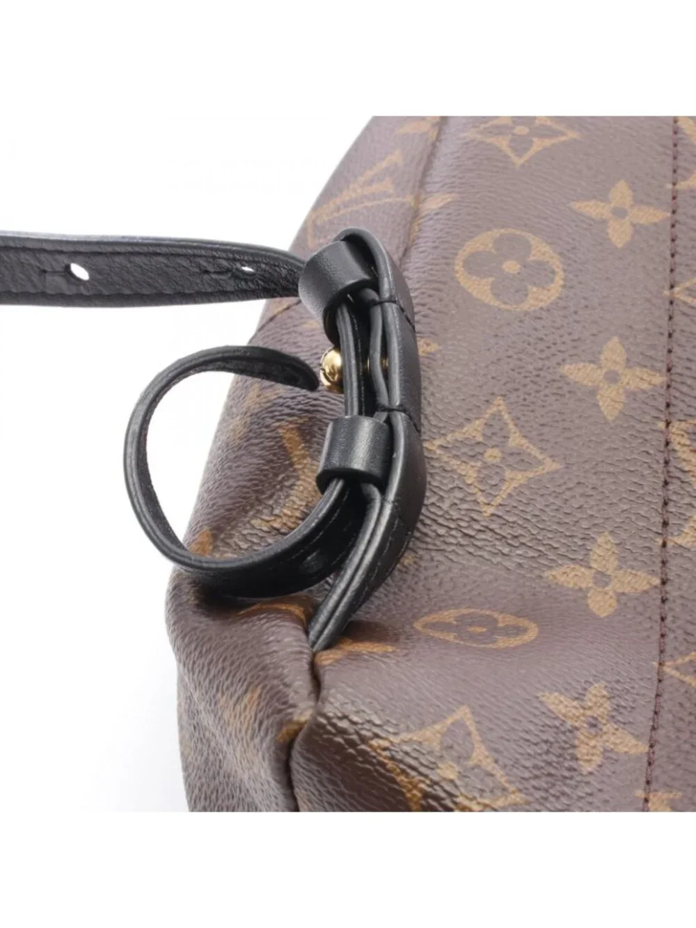 Louis Vuitton Backpack Palm Springs PM Canvas Leather